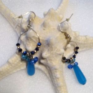 Nwt Blue Crystal Earrings